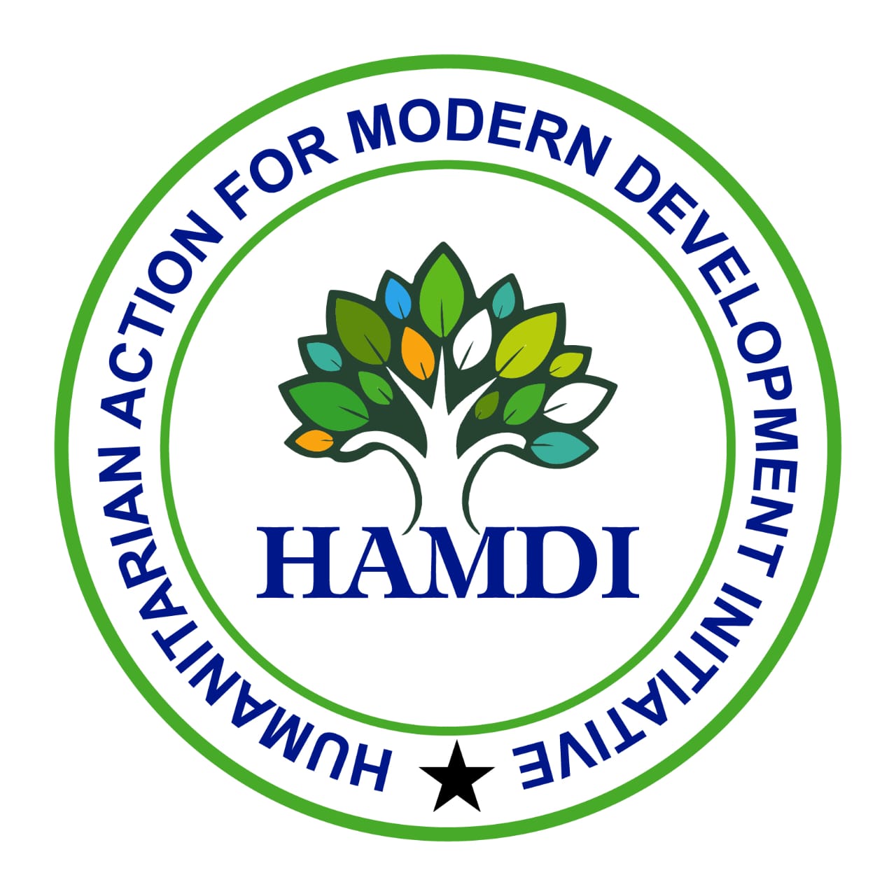 Hamdi Organization